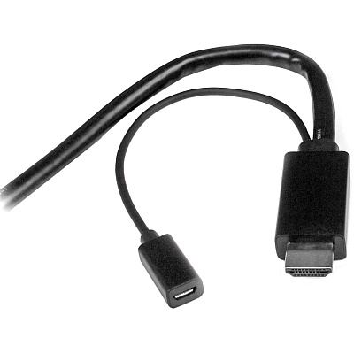 StarTech 6 Ft Dp Mini Dp Or Hdmi To Hdmi Adapter (DPMDPHD2HD)