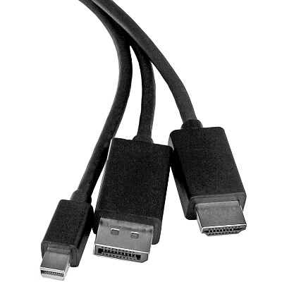 StarTech 6 Ft Dp Mini Dp Or Hdmi To Hdmi Adapter (DPMDPHD2HD)