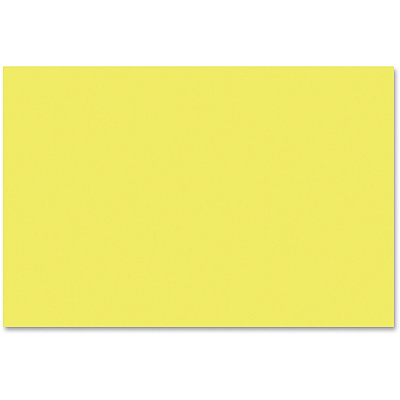 Tru-Ray Construction Paper (PAC103403)