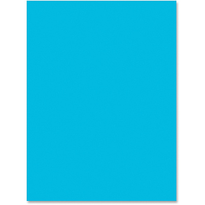 Tru-Ray Construction Paper (PAC103400)