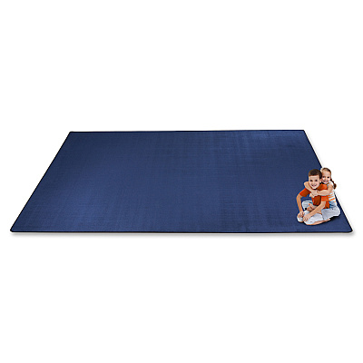 Flagship Carpets Classic Solid Color 12' Rectangle Rug (AS44NY)