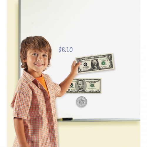 Learning Resources Double-Sided Magnetic Money Set (5080)