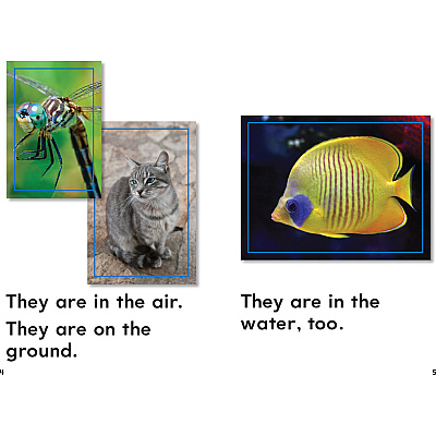 Shell Education Grade K Time for Kids Book Set 1 Printed Book (24706)