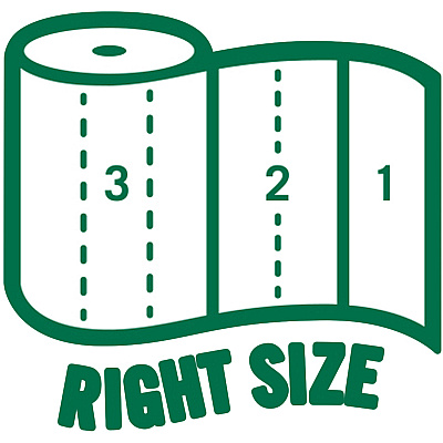 Seventh Generation 100% Recycled Paper Towels (SEV13739PK)