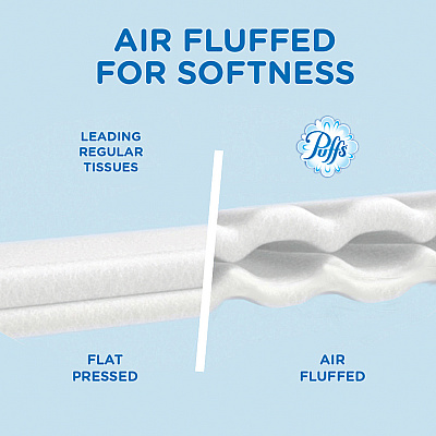 Puffs Basic Facial Tissues (PGC87615)