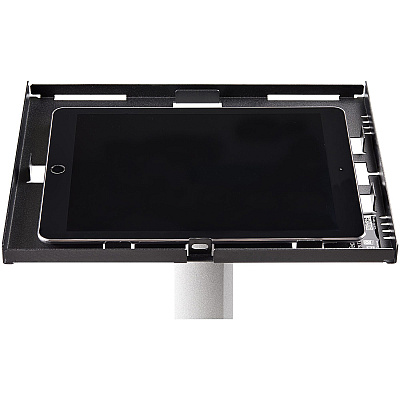 StarTech Stand - Tablet Floor - Secure (STNDTBLT1FS)