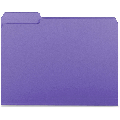 Business Source 1/3 Tab Cut Letter Recycled Top Tab File Folder (BSN99717)