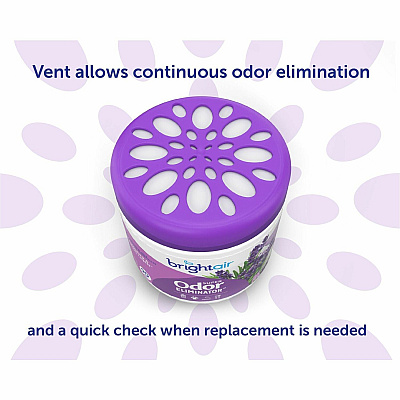 BRIGHT Air Super Odor Eliminator Air Freshener (BRI900014CT)