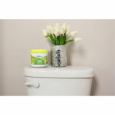 BRIGHT Air Zesty Lemon Super Odor Eliminator (BRI900248)