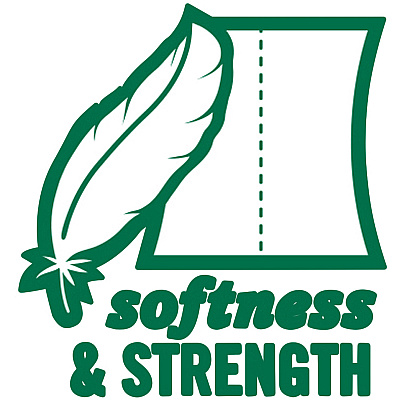 Seventh Generation 100% Recycled Bathroom Tissue (SEV13738CT)
