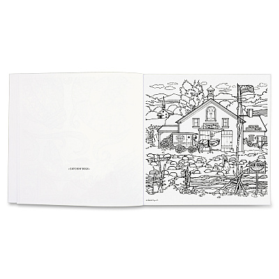 Mead Americana Adult Coloring Book Printed Book (54014)
