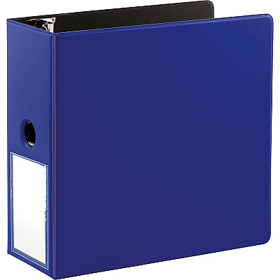 Business Source 5" D-Ring Binder (BSN33123)