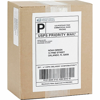 Business Source Bright White Premium-quality Internet Shipping Labels (BSN98107)