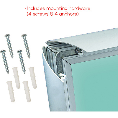 deflecto Wall-Mount Display Frame (DEF690001)