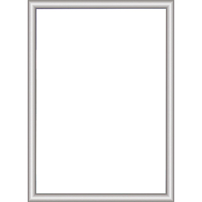 deflecto Wall-Mount Display Frame (DEF690001)