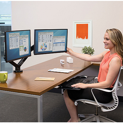 Fellowes Platinum Series Dual Monitor Arm (8042501)