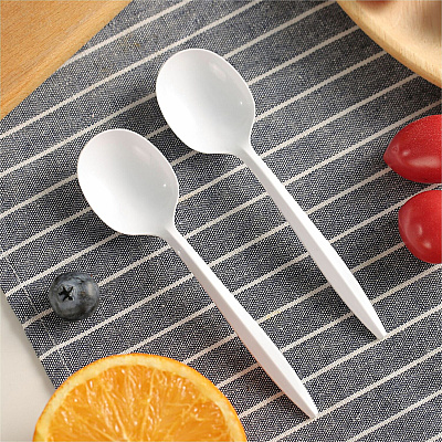 Genuine Joe Medium-Weight Soup Spoon (GJO20003)