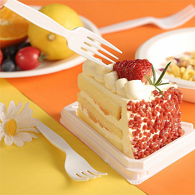 Genuine Joe Heavyweight Disposable Forks (GJO30400)
