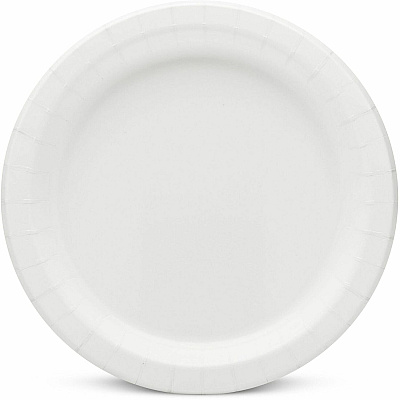 AJM Packaging Packaging Packaging AJM Packaging Packaging 9" Dinnerware Paper Plates (AJMCP9AJCWWH1CT)