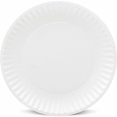 AJM Packaging Packaging Packaging AJM Packaging Packaging 9" Dinnerware Paper Plates (AJMCP9GOEWH)