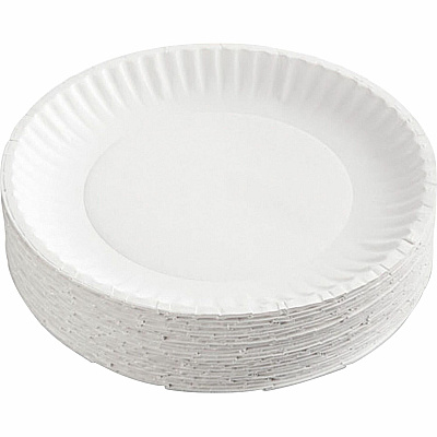 AJM Packaging Packaging Packaging AJM Packaging Packaging 9" Dinnerware Paper Plates (AJMCP9GOEWH)