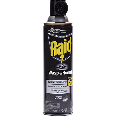 Raid Wasp/Hornet Killer Spray (SJN668006EA)