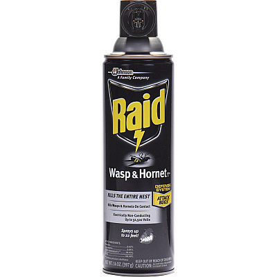 Raid Wasp/Hornet Killer Spray (SJN668006)