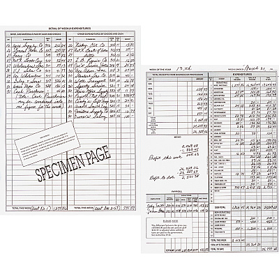 Dome Bookkeeping Record Book (DOM600BD)