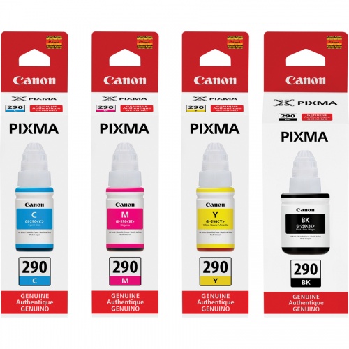 Canon PIXMA GI-290 Ink Bottle (GI290C)