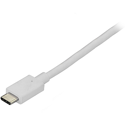 StarTech 6ft Usb C To Displayport 1.2 Cable 4k60 (CDP2DPMM6W)
