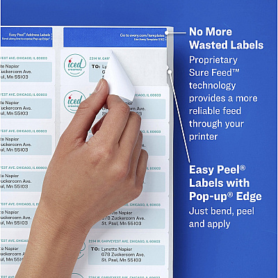 Avery Easy Peel High Gloss Clear Mailing Labels (AVE6520)