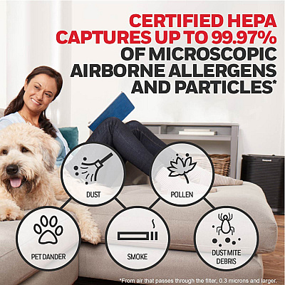 Honeywell HEPA Air Purifier R Filter (HWLHRFR1)