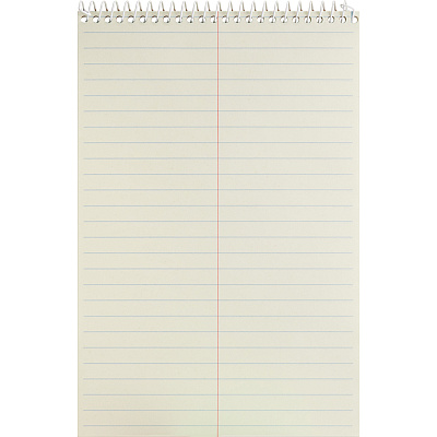 Business Source Steno Notebooks (BSN90650PK)