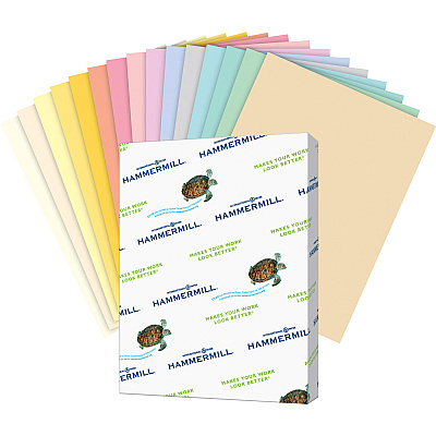 Hammermill Colors Recycled Copy Paper - Pink (HAM103382CT)