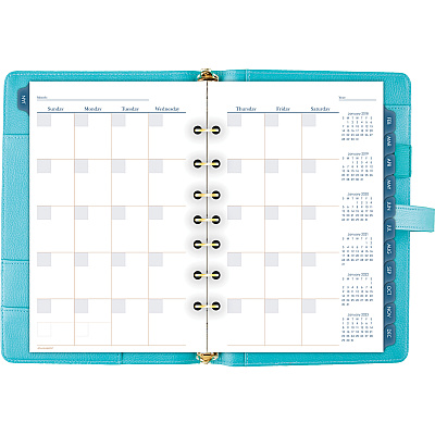 AT-A-GLANCE Buckle Closure Undated Desk Start Set (AAGDR111804042)