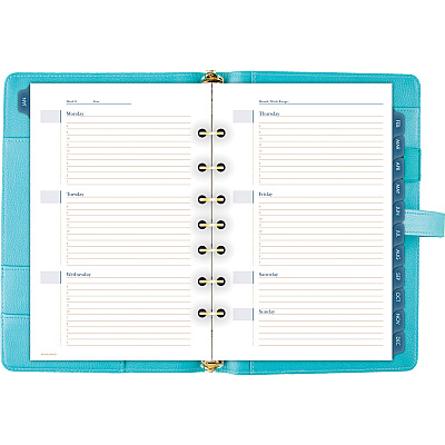 AT-A-GLANCE Buckle Closure Undated Desk Start Set (AAGDR111804042)
