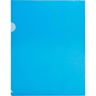 Business Source Letter File Sleeve (BSN00605)