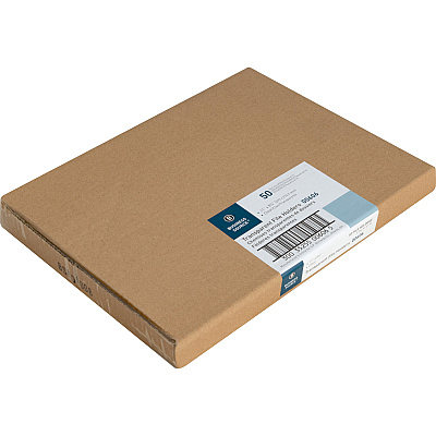 Business Source Letter File Sleeve (BSN00606BX)
