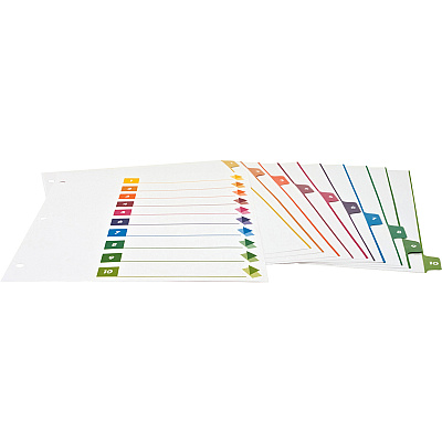 Business Source Color-coded Table of Contents/Tabs Index Dividers (BSN21910)