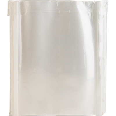 Business Source Heavy-duty Sheet Protectors (BSN74250)