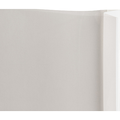 Business Source Heavy-duty Sheet Protectors (BSN74250)