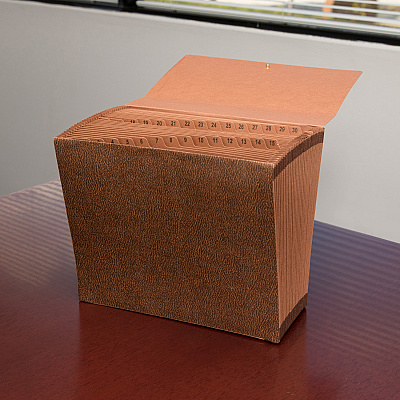 Business Source Letter Recycled Expanding File (BSN23681)