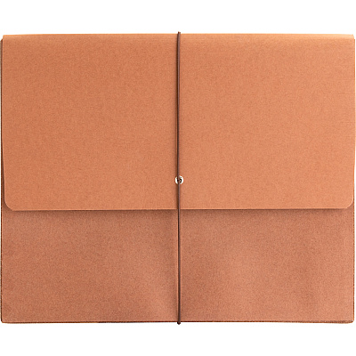 Business Source Letter Recycled File Wallet (BSN26575)