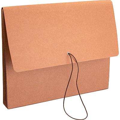 Business Source Letter Recycled File Wallet (BSN26575)