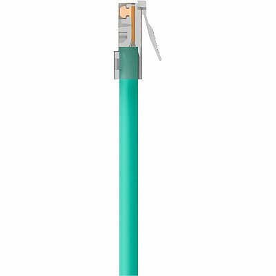 Belkin Cat6 Snagless Patch Cable (A3L98015GRN)