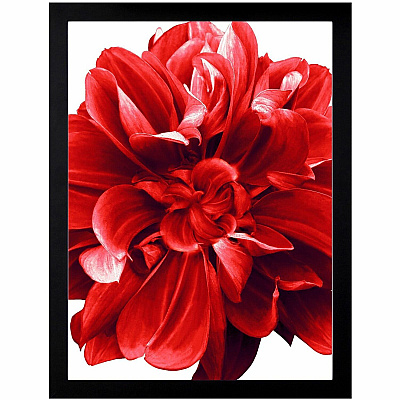 Lorell Wide Frame (LLR49211)