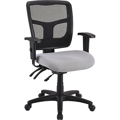 Lorell Ergomesh Executive Mesh Mid-Back Office Chair (86201) Frame (LLR86211)
