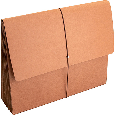 Business Source Letter Recycled File Wallet (BSN26575BX)