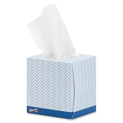 Genuine Joe Cube Box Facial Tissue (GJO26085PL)