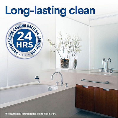 Clorox Disinfecting Cleaning Wipes (CLO01593BD)